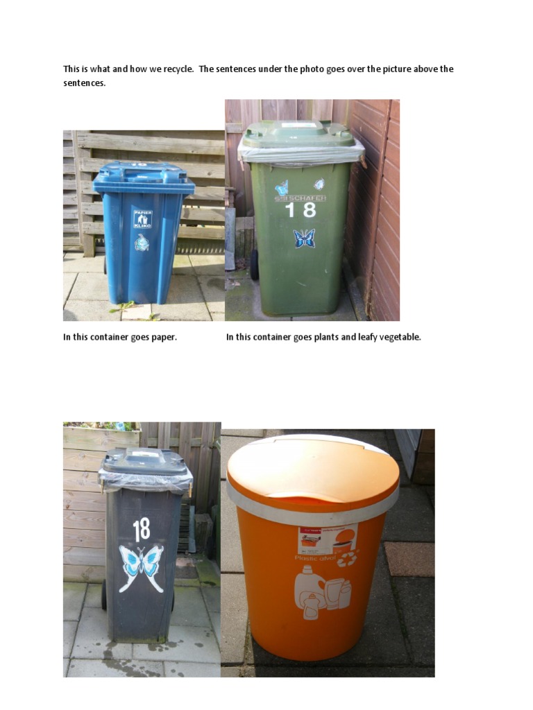 Recycling Guide: Sorting Waste Efficiently | PDF