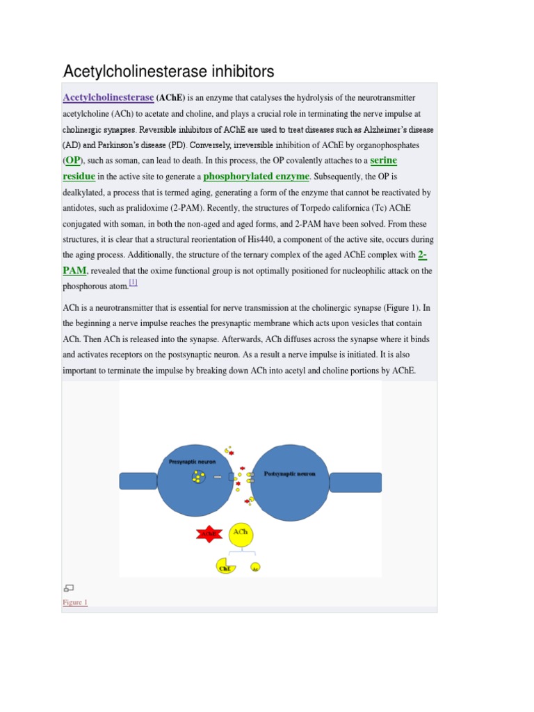 Irreversible Inhibition of Acetylcholinesterase | PDF | Acetylcholine ...