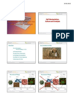 Analytische Anwendungen Von Lab On A Chip" Systemen