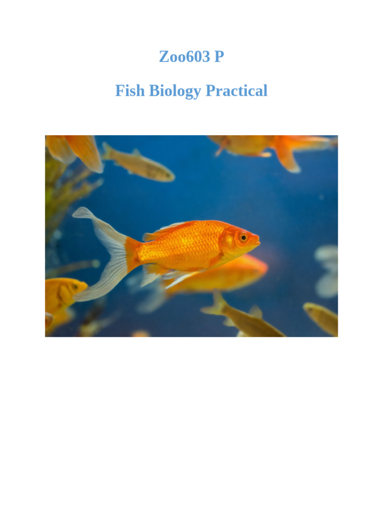 Fish Biology Practical Techniques Guide | PDF | Water Quality | Skull