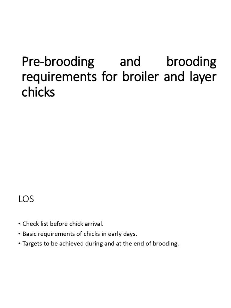 Lecture 5 Brooding | PDF | Birds | Chicken
