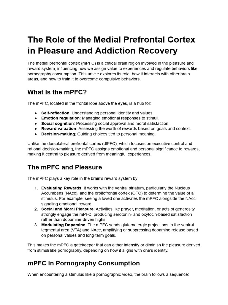 80-The Role of The Medial Prefrontal Cortex in Pleasure and Addiction ...