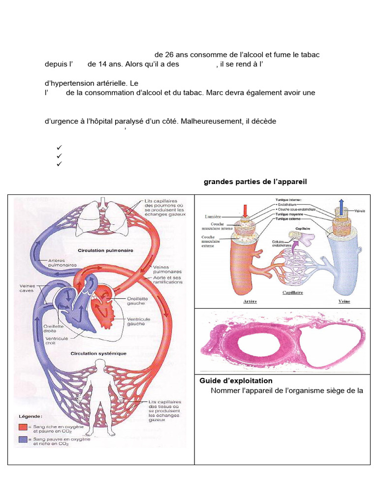 Comprendre la circulation sanguine | PDF | Ventricule cardiaque ...