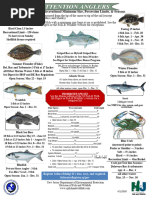 Queensland Fish Size and Bag Limits | PDF