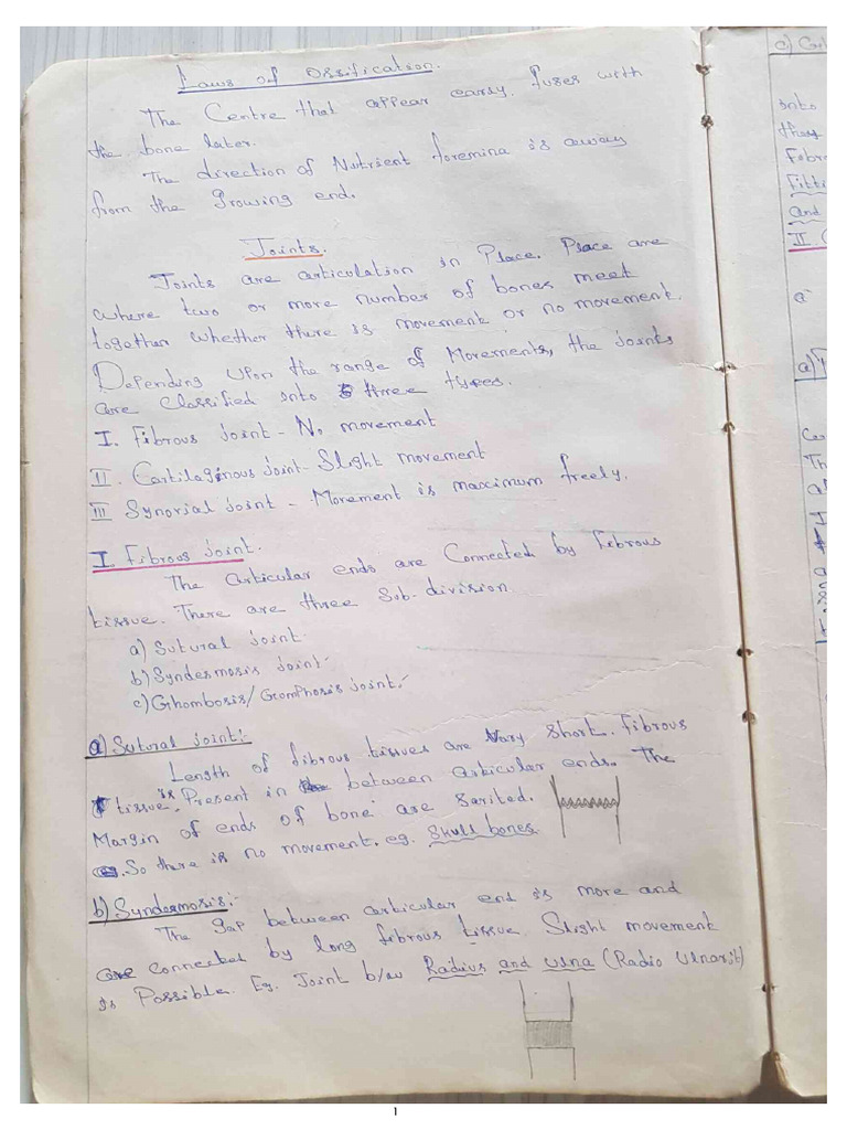 Physiotherapy All Notes From Scratch PDF | PDF