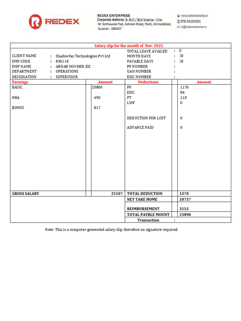 November 2025 Salary Slip Summary | PDF