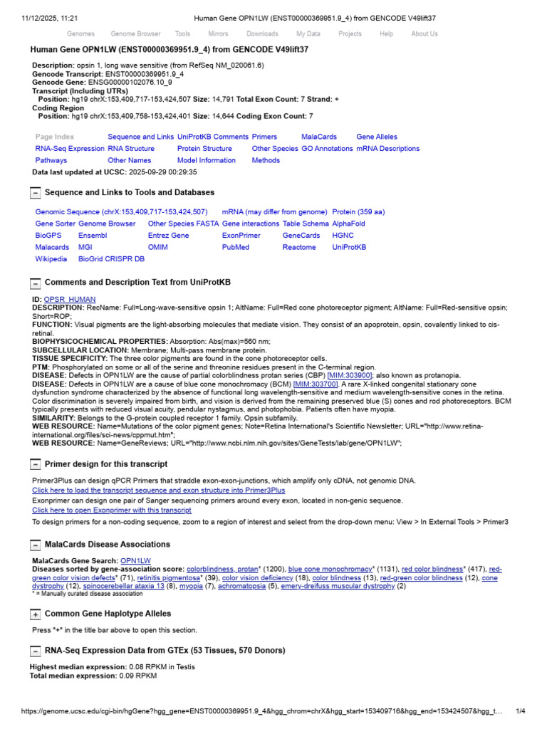 Human Gene OPN1LW (ENST00000369951.9 - 4) From GENCODE V49lift37 | PDF ...