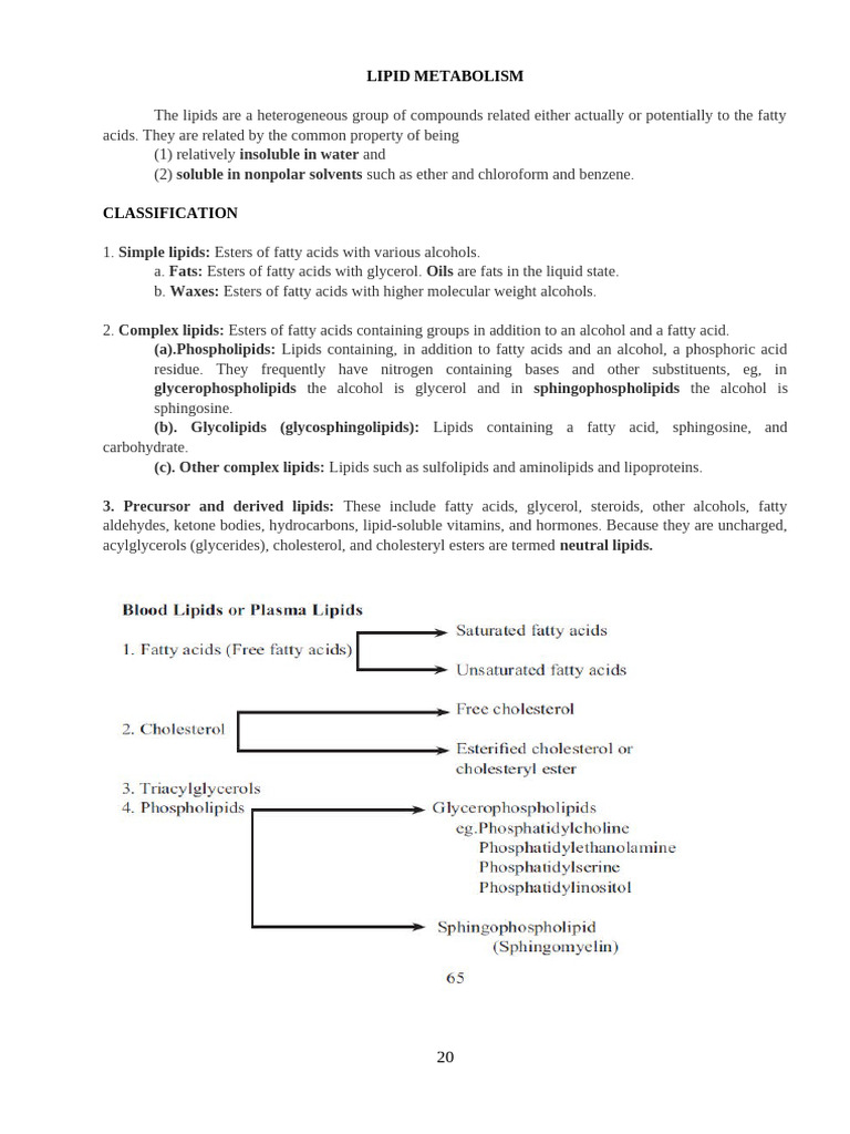 Overview of Lipid Metabolism | PDF | Lipoprotein | Cholesterol