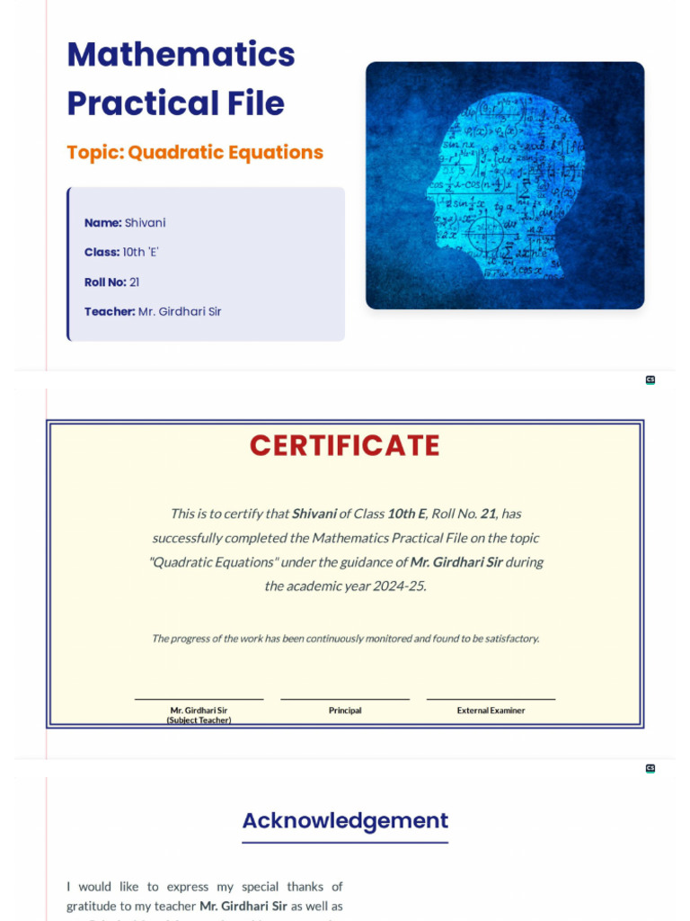Mathematics Practical File - Quadratic Equations | PDF