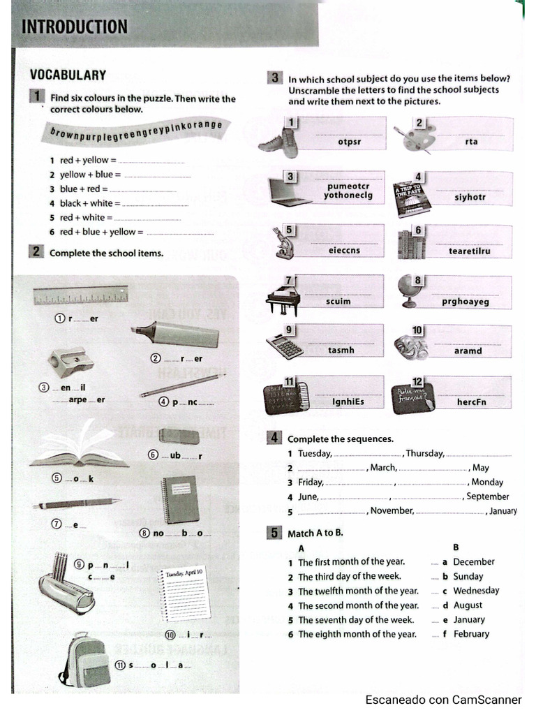 Workbook Page 4 | PDF