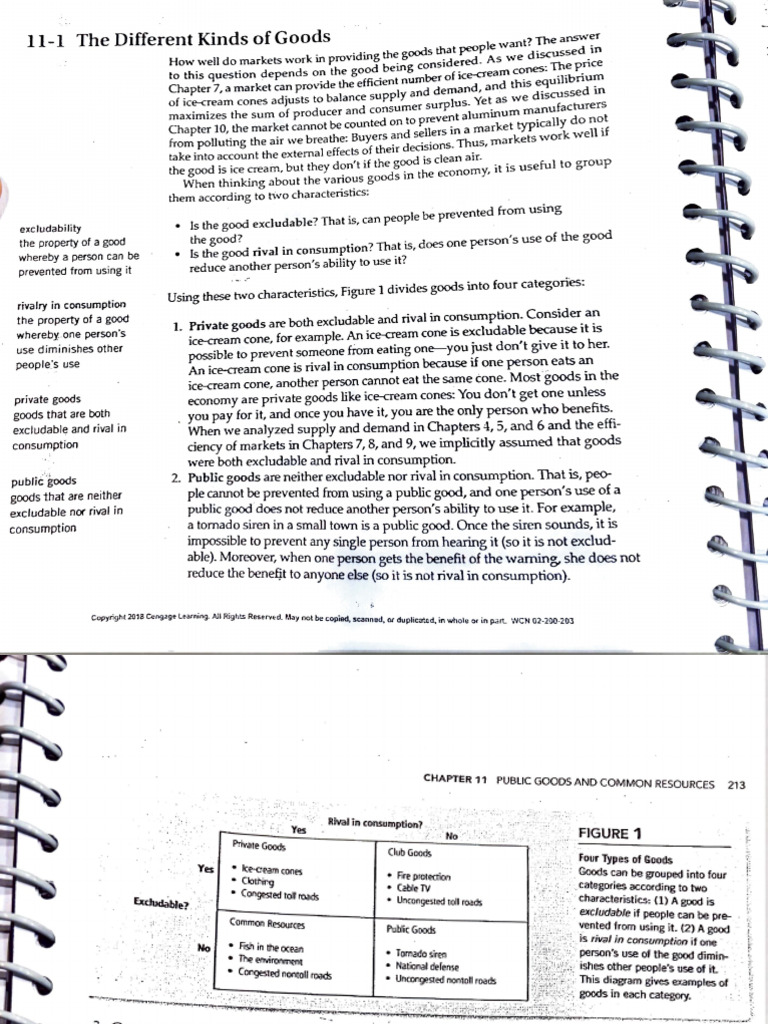 Public Goods and Common Resources | PDF