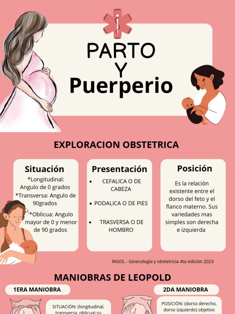 Guía Completa sobre Parto y Puerperio | PDF | Parto | Periodo posparto