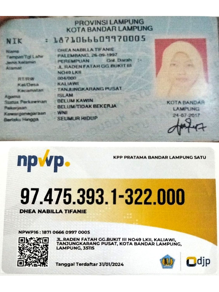KTP & NPWP | PDF