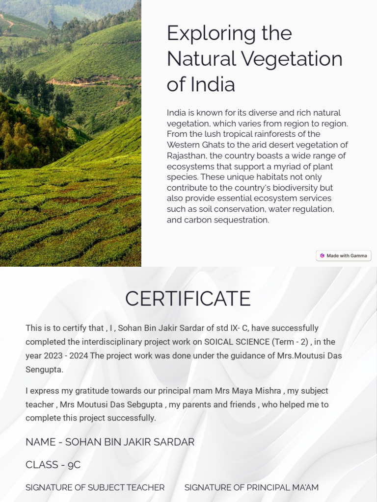 India's Diverse Natural Vegetation | PDF | Trees | Forests