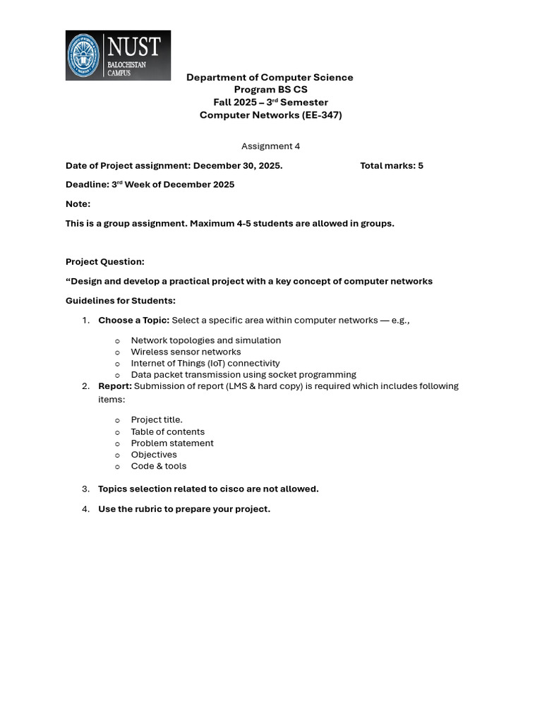 Computer Networks Project Guidelines | PDF