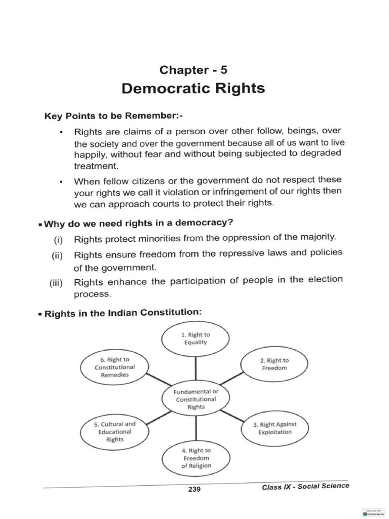 Democratic Rights | PDF