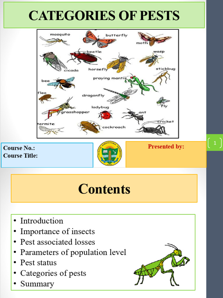 Categories of Insect Pests Explained | PDF | Pest (Organism) | Insects
