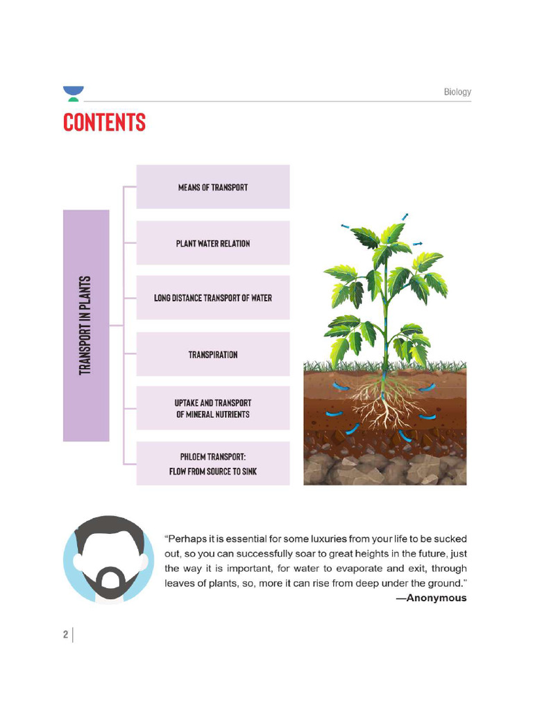 Transort in Plants 2 | PDF