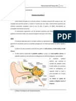 Articulo 10, Sistemas Sensoriales Parte II