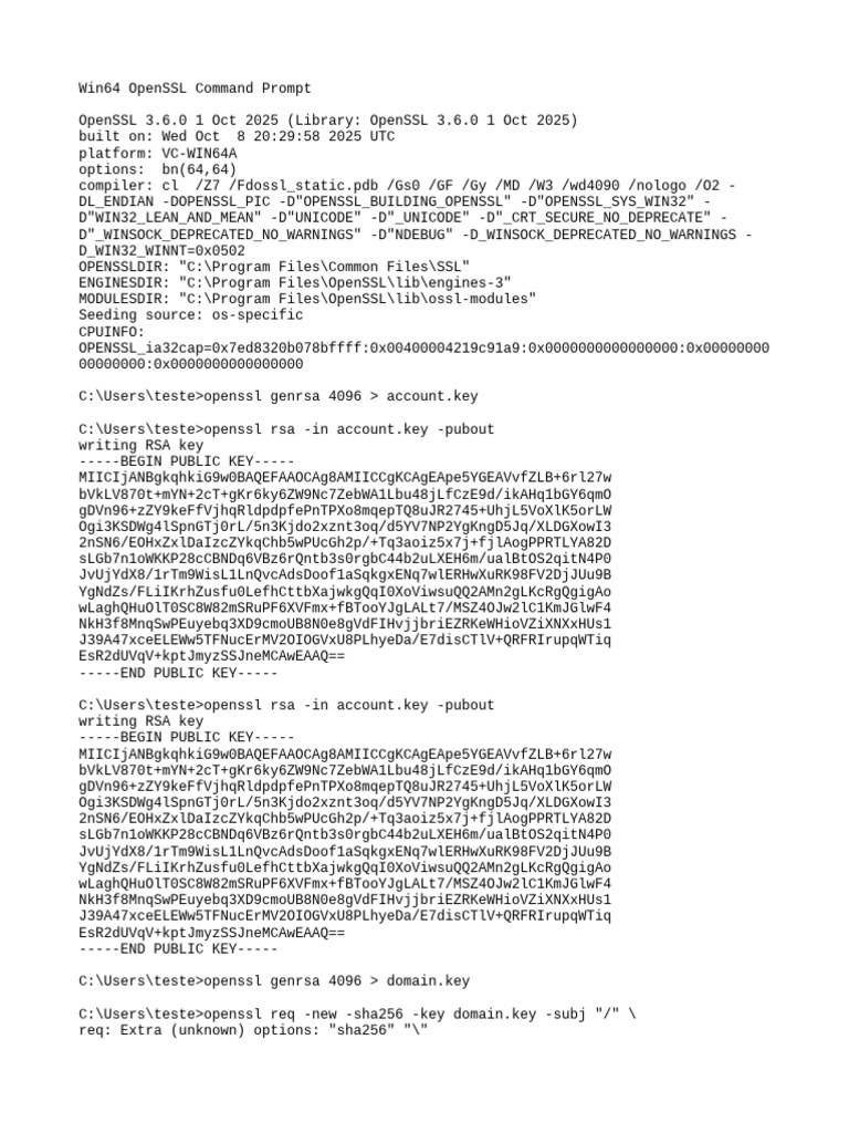 OpenSSL Commands for Windows 64-bit | PDF | Application Layer Protocols ...