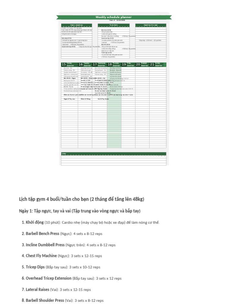 Fitness Plan | PDF