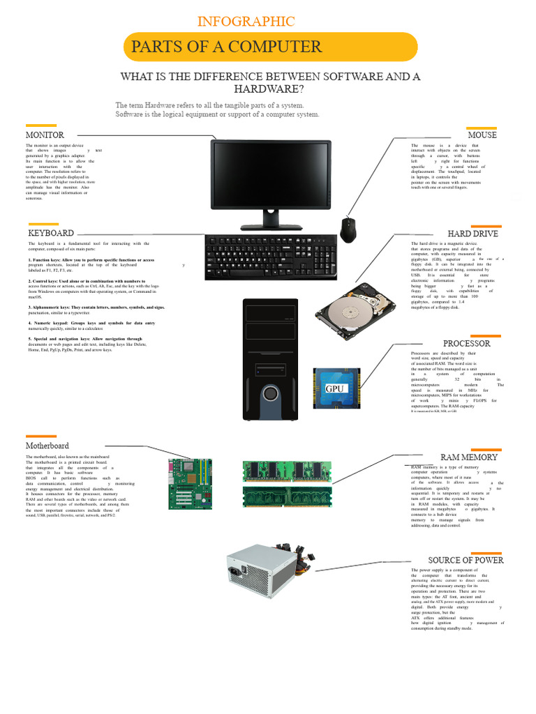 Computer Hardware and Software Basics | PDF | Computer Keyboard ...