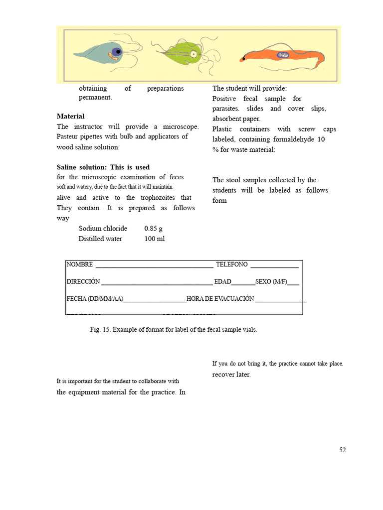 Fecal Sample Collection and Analysis Guide | PDF | Human Feces | Feces
