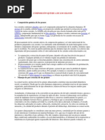 Download COMPOSICIN QUIMICA DE LOS GRANOS by Euler Gomez Panduro SN96835148 doc pdf