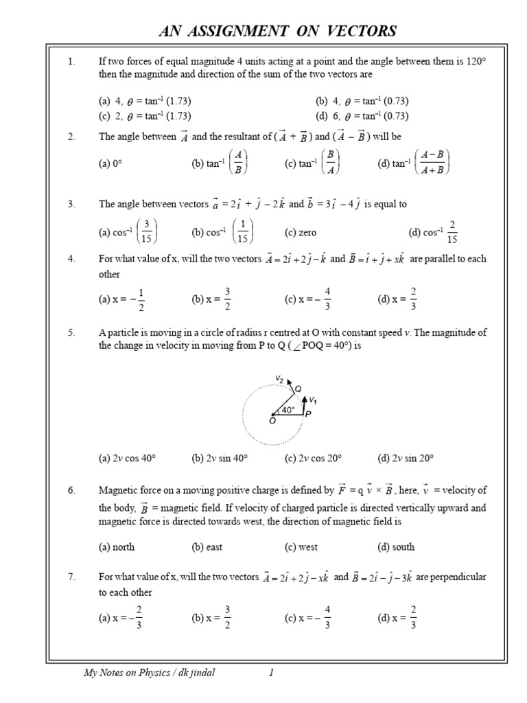 Vector Physics Assignment Questions | PDF | Force | Euclidean Vector