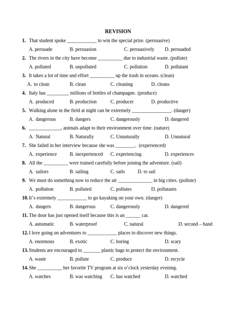 Vocabulary and Grammar Practice Test | PDF