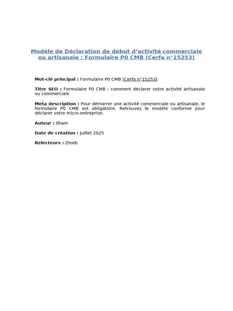 Formulaire P0 CMB : Déclaration d'activité | PDF