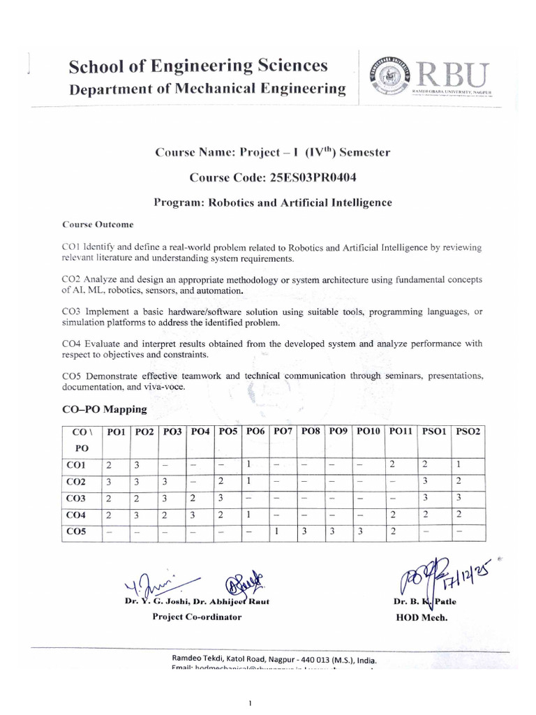 Project - 1 Rubrics & Guidelines RAI | PDF