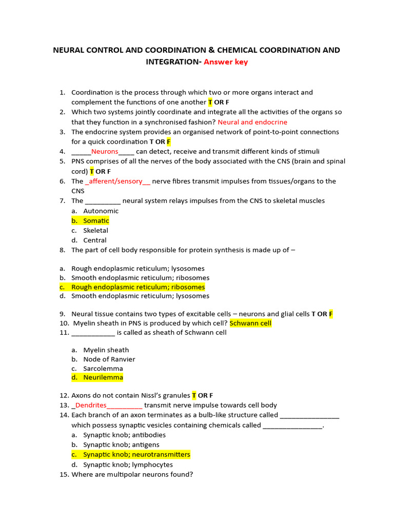Neural and Chemical Coordination Quiz | PDF | Thyroid | Axon