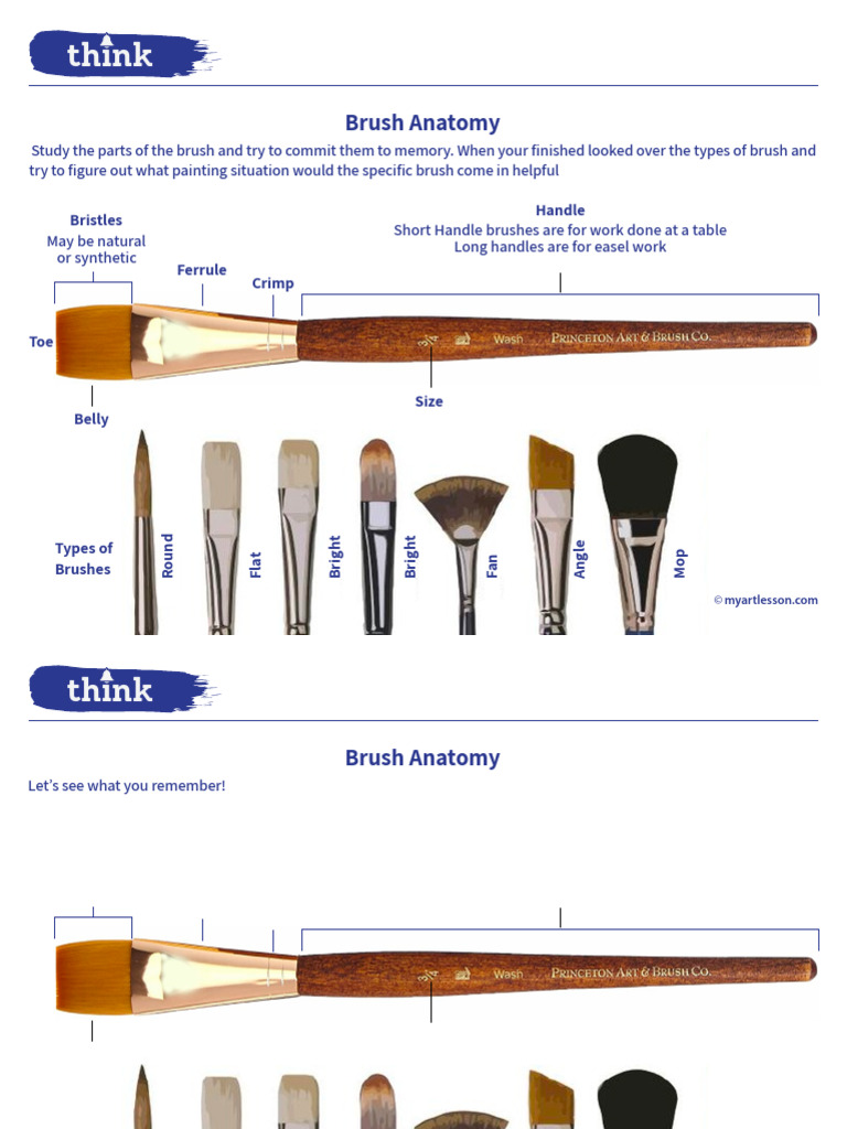 Brush Anatomy and Types Explained | PDF