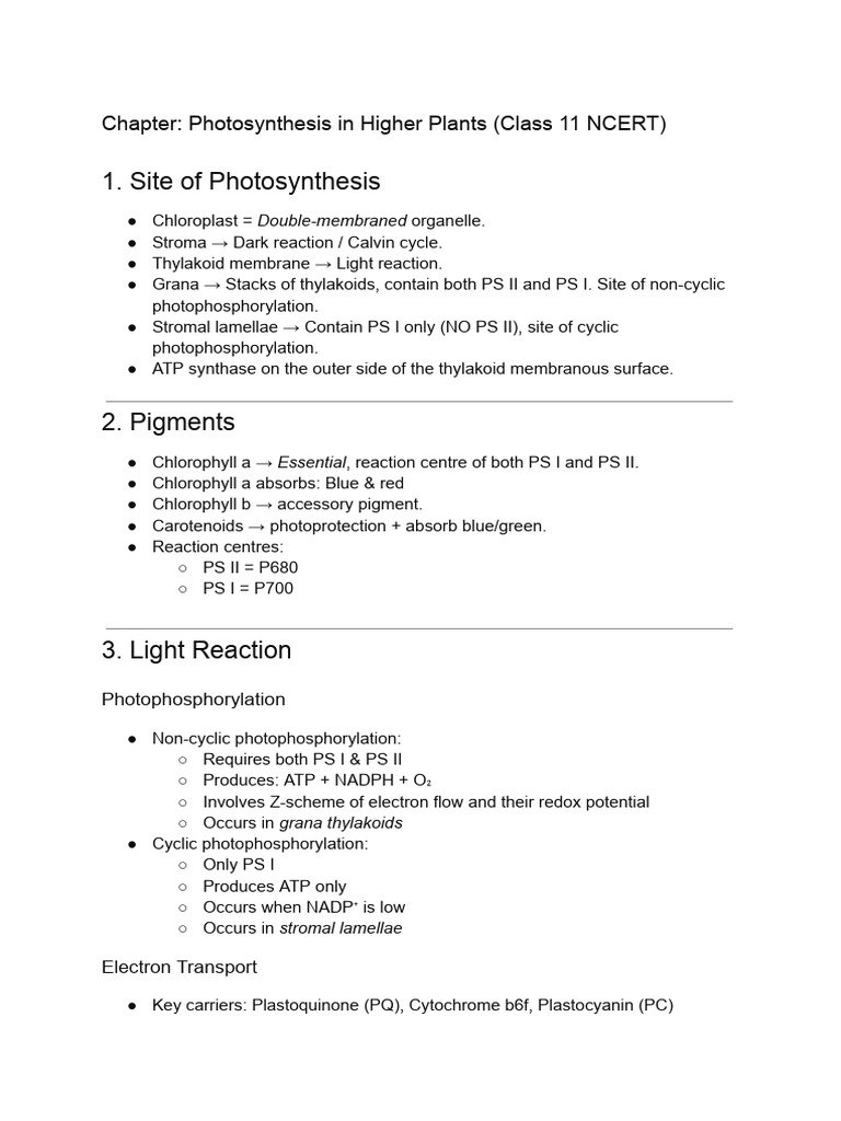 Photosynthesis Mechanisms in Plants | PDF | Photosynthesis | Chloroplast