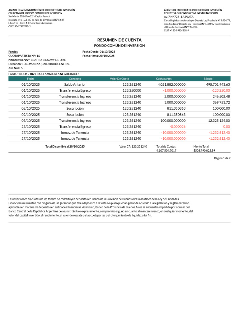 Resumen de Inversión en Fondos Comunes | PDF | Bancos | Inversiones