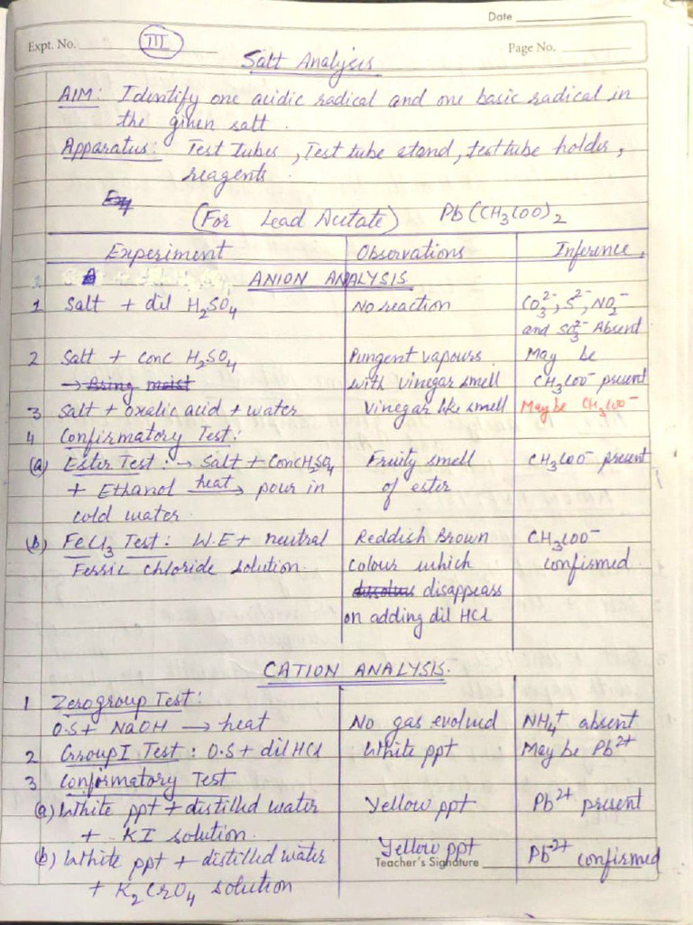 XII Salt Analysis Writing Format SOSE | PDF