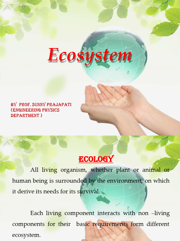 Understanding Ecosystems and Their Functions | PDF | Ecosystem | Food Web