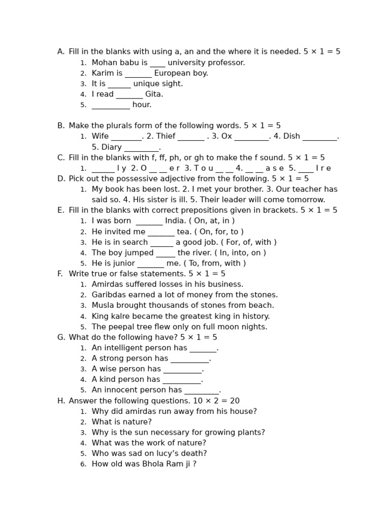 English Grammar Exercises for Beginners | PDF