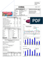 China. Ficha país 2011