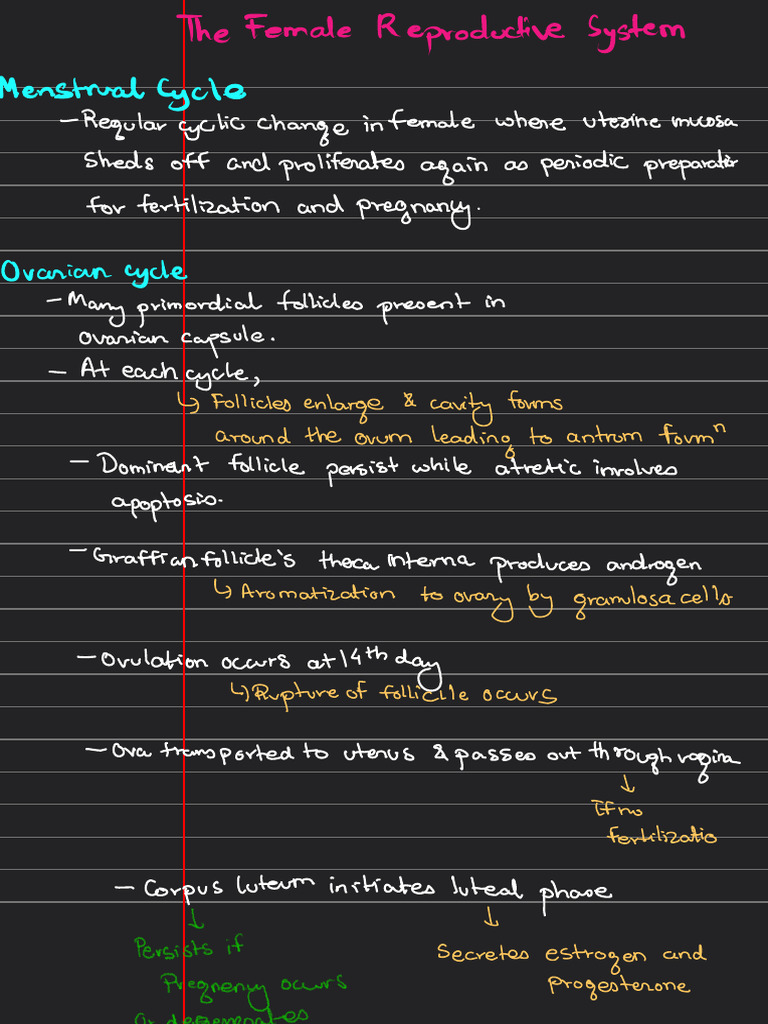 Ganong Notes Female Repro - 8599a0cc 75b6 4da0 9e54 D663a1ad2dd2 | PDF