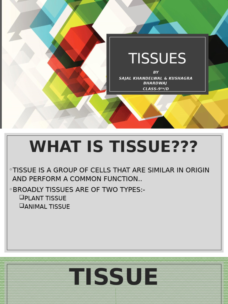 Tissues | PDF | Tissue (Biology) | Plant Stem