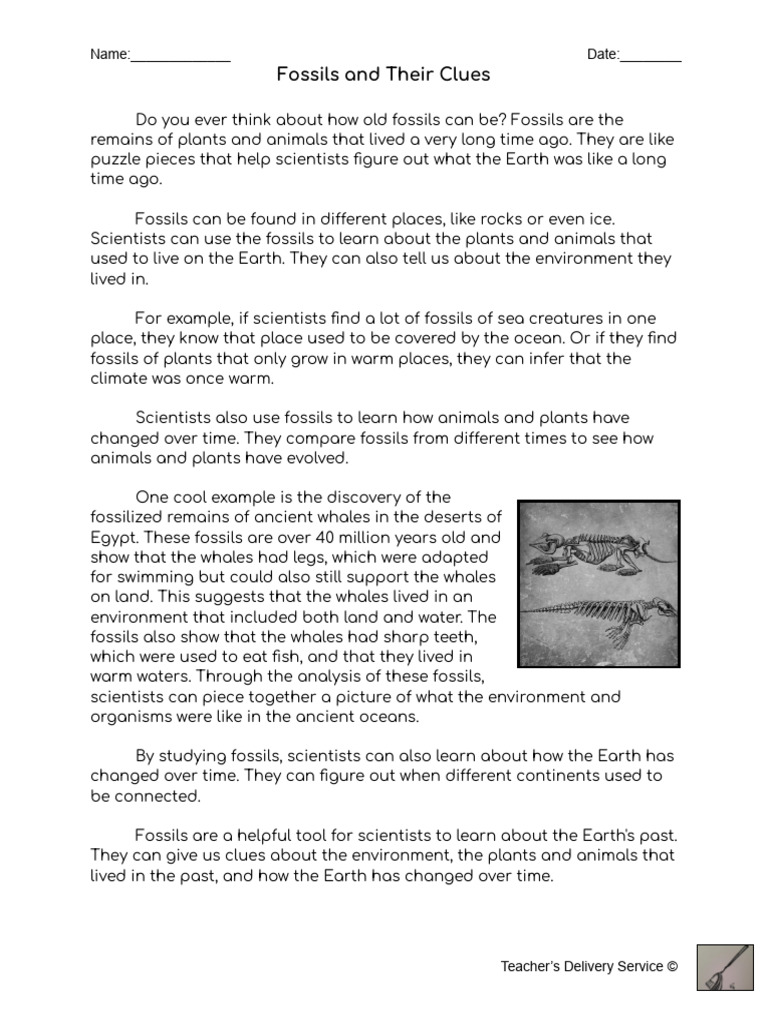 Fossils and Their Clues: Name: - Date | PDF | Fossil | Natural Environment