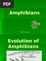 Frog Classification and Taxonomy | PDF | Frog | Amphibian