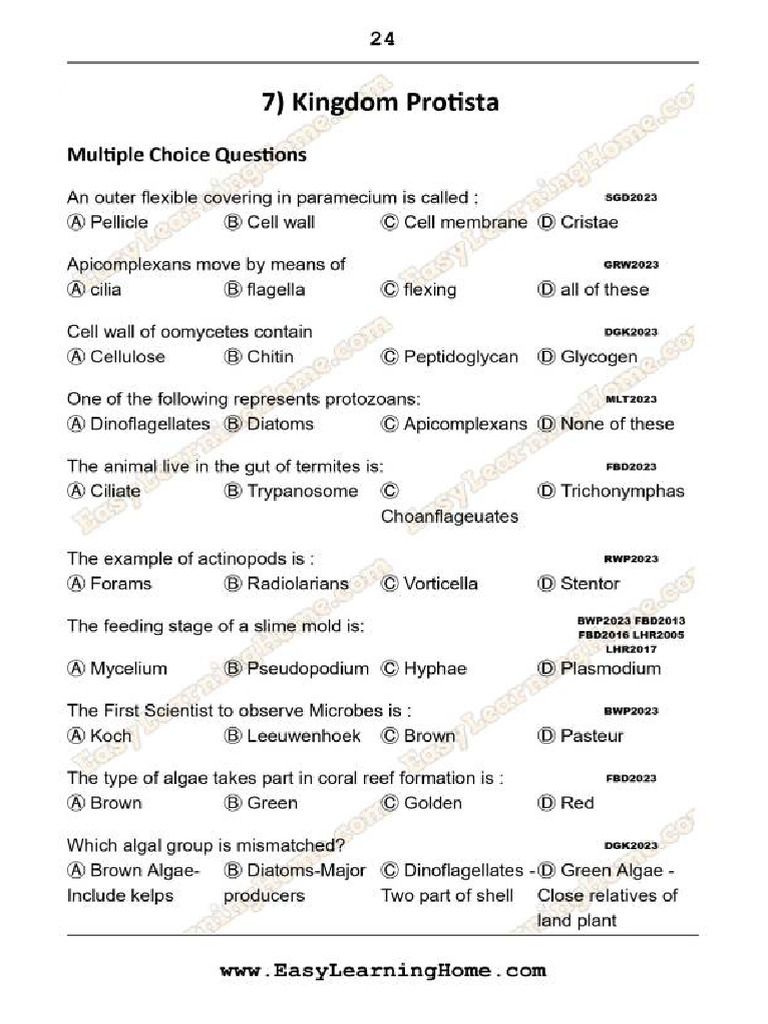 Chapter 7 | PDF