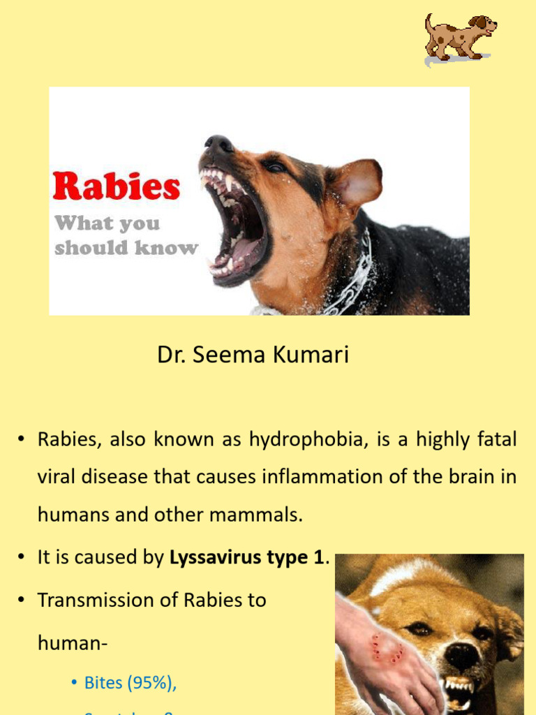 Rabies Ppt Final | PDF | Rabies | Microbiology
