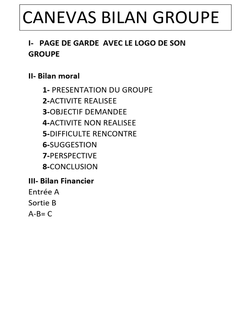 Bilan d'Activité et Financier du Groupe | PDF