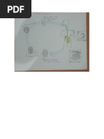 Sanitary Defect Codes Overview | PDF | Hexapoda | Insects And Humans
