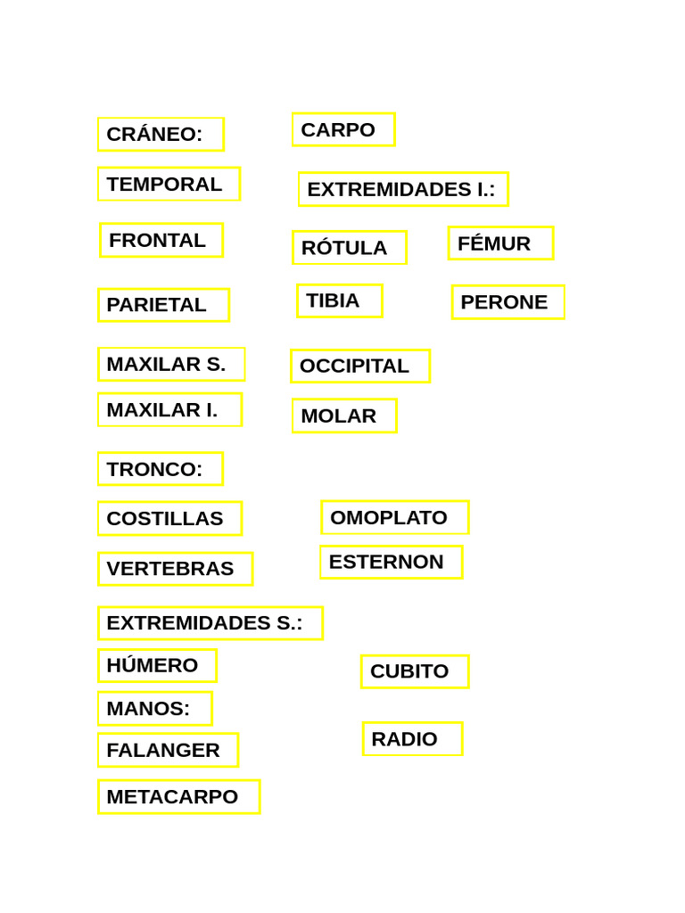 Cuerpo Humano | PDF