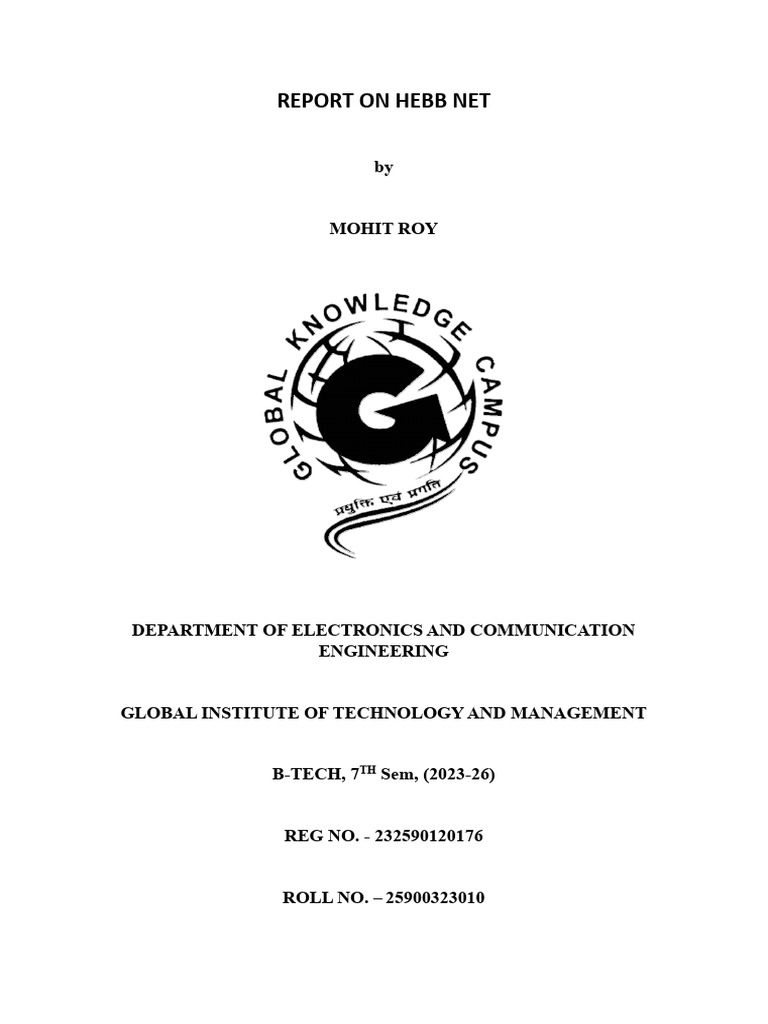 Hebb Net: Foundations of Neural Learning | PDF | Synapse | Long Term ...